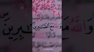 Are you in pain - Islamic WhatsApp status #status #naat #whatsapp #quran