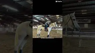 Did barrel racing and pole bending td