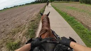 POV 30 minutes of horse riding (helmet cam) ASMR - No talking
