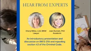 Experts Discuss: Bill S-251 and Repealing Section 43 of the Criminal Code