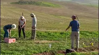 הקמת מכוורת חוות להב