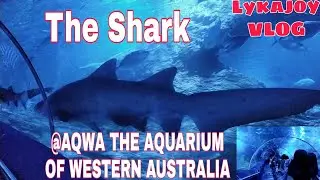 #AQWA THE AQUARIUM OF PERTH WESTERN AUSTRALIA #Part 3 (#Lykajoyatienza)
