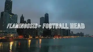 Flamingosis - Football Head