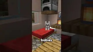 New Item and Mobs in Minecraft