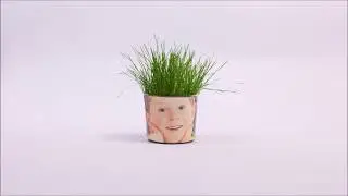 Mister Grass Head - SimpleSteps