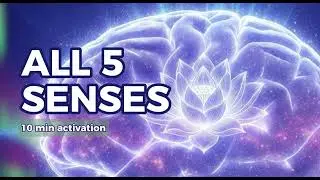 Engage All Five Senses Meditation: Guided Synesthesia Experience in 10 Minutes