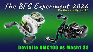 Эксперимент BFS Reel 2026