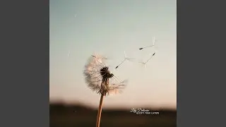 Seed of a Quiet Change