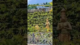 #Tirumala#Tirupati#Ttd#Divine#Temple#Devotional#Pilgrim#Travel#Vlog#Shorts#Viral#Video#Trending#Reel