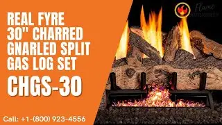 Real Fyre 30