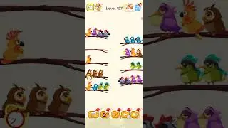 Birds sort color Level 127