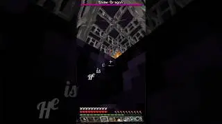 Sus wandering trader #minecraft