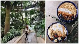 A Weekday Adventure // Vegan Food + Friends
