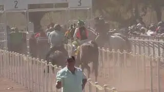 El papas Fritas 🍟 C.Herrera 🆚 El vaquero C.Joya Carril el sauce JIR 