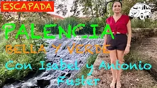 157 202408 PALENCIA (ESCAPADA)