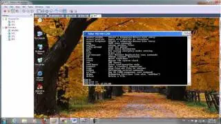 8- All Cisco Labs Basic Config