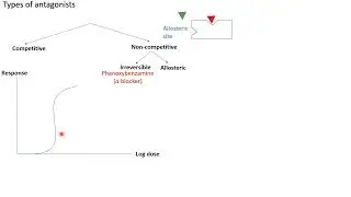 Lecture 7: Competitive and non-competitive antagonists