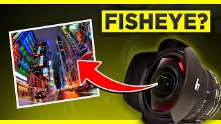 What Is a FISHEYE LENS? What Does a Fisheye Lens Do?