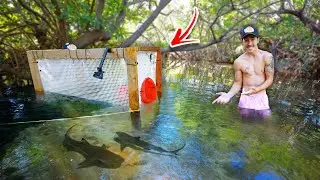 Building Massive saltwater fish trap for Sharks!?!