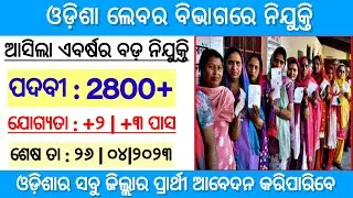 Odisha Labour Office Recruitment 2023 | Apply For 2800+ Vacancy | Odisha Govt Jobs | Odisha Job