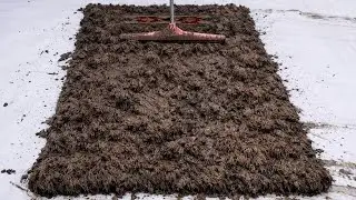 The True Power of a Metal Scraper - The Best Home Method to Save a Dirty Carpet