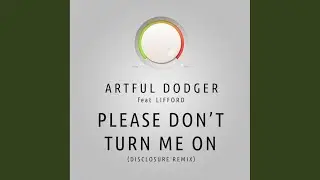 Please Don't Turn Me On (Disclosure Remix)