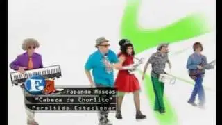 Cabeza de Chorlito PAPANDO MOSCAS