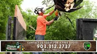 Trust Stanley Tree Service for Safe Tree Removal, Trimming and Stump Grinding