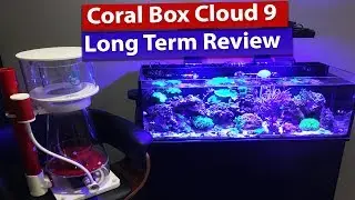 Coral Box Cloud 9 Protein Skimmer Review
