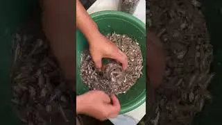 Paano gumawa ng GINAMOS
