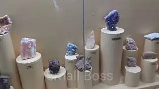 India Seashell Museum in Ecr ( Mineral Museum ) Part -1