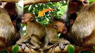Horrible hitting ! Never see mom Jane hit Janna like this ! Jane slap by angry no mercy on Janna