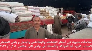 مفاجأت مدوية فى أسعار الطماطم والبطاطس والبصل و باقى الخضار لاسباب كتيرة أما الفواكه والأسماك 