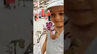 Ашан:ОРХИДЕИ!18.07.25, Самара, ТЦ Космопорт, ул.Дыбенко, 30.