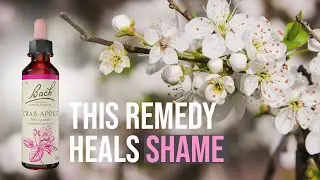 Crab Apple (Bach Flower Remedy) | When You Can&rsquo;t Accept Yourself As You Are