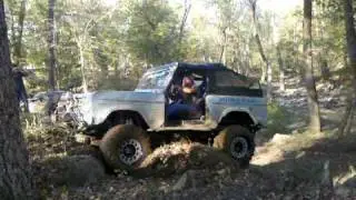 Michael Bronco