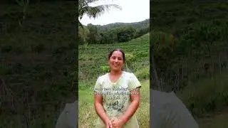 Hora de recuperar a bacia do Rio Doce 💧