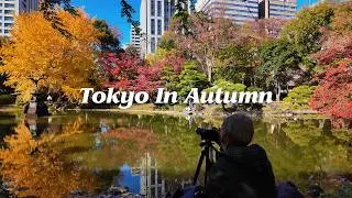 Didn't Expect This When Went For A Walk! Autumn Food Festival In Tokyo Japan