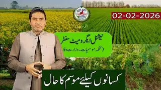 Cold Wave Update Pakistan | Rain & Snow Chances in Gilgit-Baltistan | PMD Weather | 02 February 2026