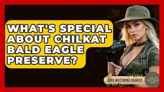 What's Special About Chilkat Bald Eagle Preserve? - Bird Watching Diaries