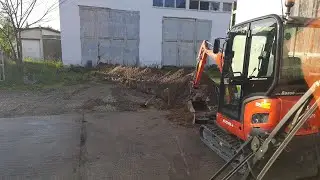 Kubota KX019.4 im Nizzepark Gräben räumen