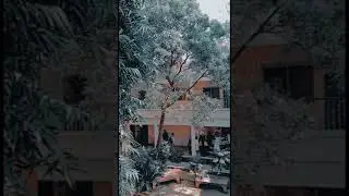 IPS - Institute Of Pharmaceutical Sciences UVAS Lahore #uvas
