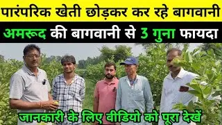 पारंपरिक खेती छोड़ बागवानी से कर रहे लाखों की इनकम |Desi Kheti Jugad |