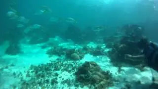 GOPR0066
