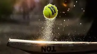 New  cricket lover status video|| New best status in cricket || Surya&Music
