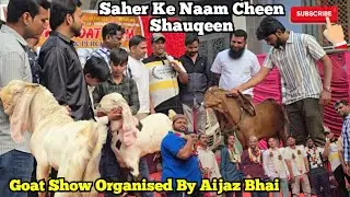 Hyderabadi Breedline Goats Show Organised by Aijaz Bhai | Sirf Pure Nasal Me Hyderabad Goats