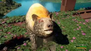 Far Cry New Dawn on Core i7 4790K with 16Gigs ram and GTX 980