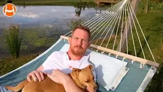 A Fun Guide To Buying Hammocks -  Simply Hammocks UK