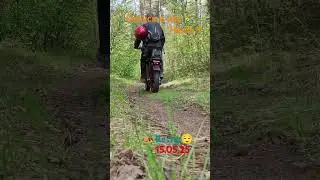 Spring, in to the woods on a fetbike #лес #природа #отдых #поход#туризм