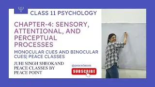 Class 11 Psychology Ch 4 | Monocular & Binocular Cues | Sensory, Attentional & Perceptual Processes
